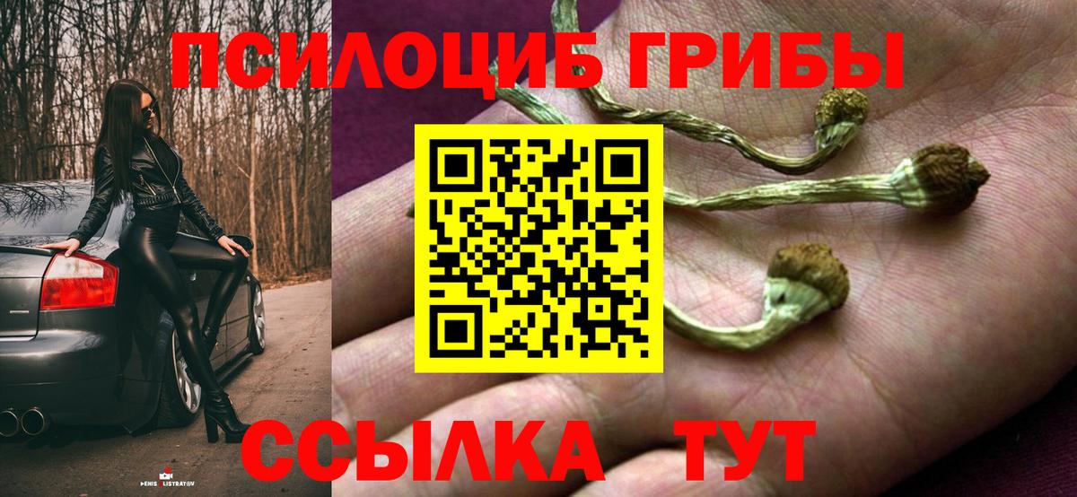 Моршанск  Галлюциногенные грибы Psilocybine cubensis  Вход с VPN 
