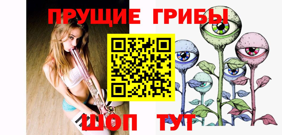Галлюциногенные грибы Psilocybine cubensis Моршанск
